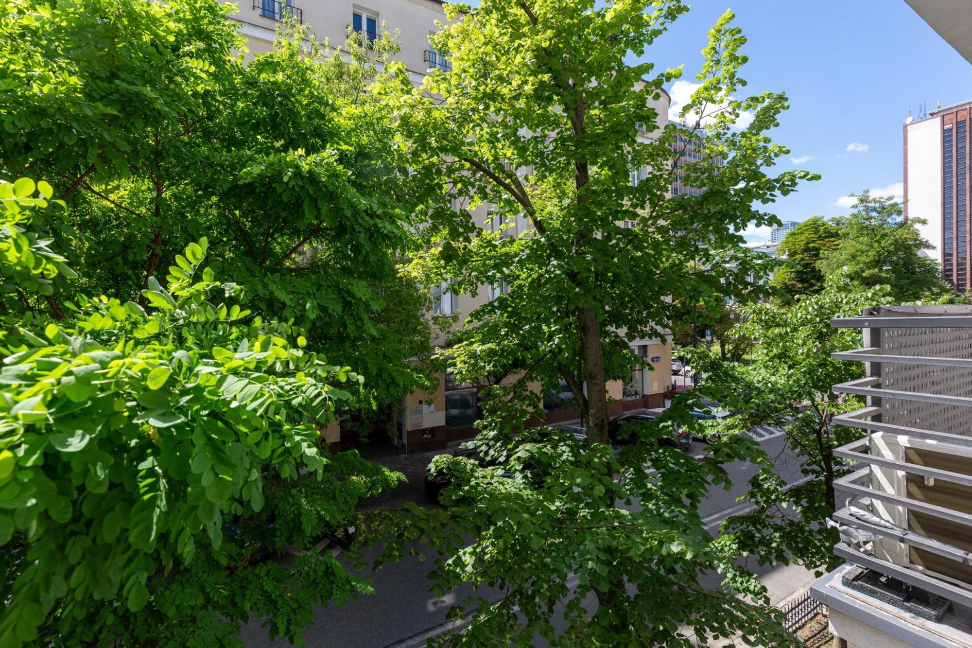 Starlight In By Renters Warszawa